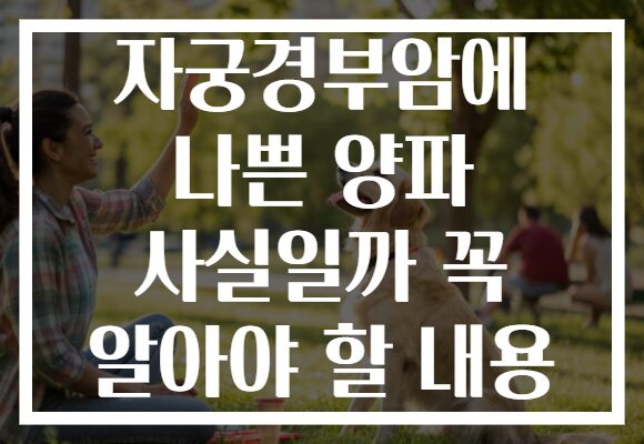 자궁경부암에 나쁜 양파 사실일까 꼭 알아야 할 내용 자궁경부암에 나쁜 양파 사실일까 꼭 알아야 할 내용