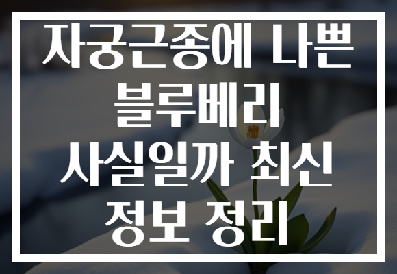 자궁근종에 나쁜 블루베리 사실일까 최신 정보 정리 자궁근종에 나쁜 블루베리 사실일까 최신 정보 정리