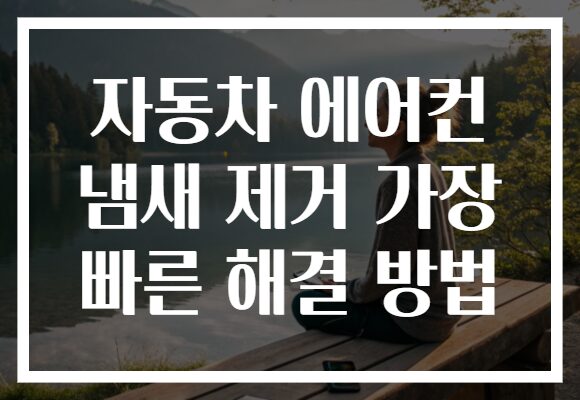 자동차 에어컨 냄새 제거 가장 빠른 해결 방법 자동차 에어컨 냄새 제거 가장 빠른 해결 방법