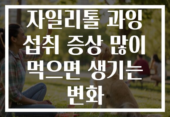 자일리톨 과잉 섭취 증상 많이 먹으면 생기는 변화