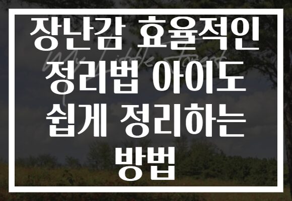 장난감 효율적인 정리법 아이도 쉽게 정리하는 방법 장난감 효율적인 정리법 아이도 쉽게 정리하는 방법