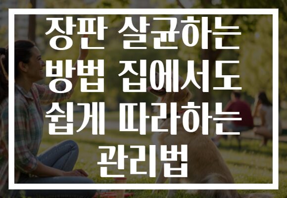 장판 살균하는 방법 집에서도 쉽게 따라하는 관리법 장판 살균하는 방법 집에서도 쉽게 따라하는 관리법