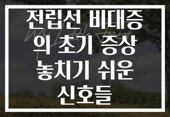 전립선 비대증 의 초기 증상 놓치기 쉬운 신호들