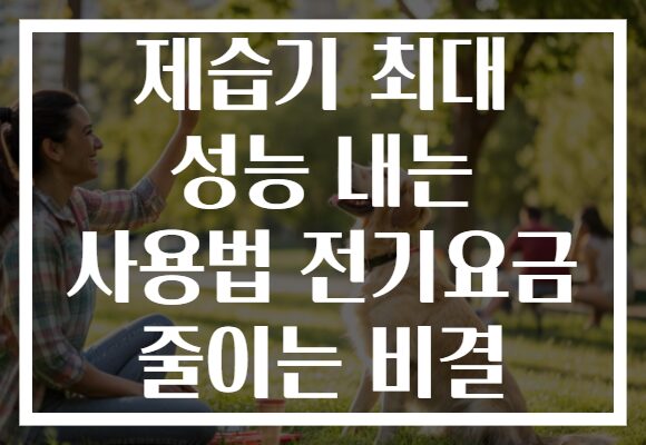 제습기 최대 성능 내는 사용법 전기요금 줄이는 비결 제습기 최대 성능 내는 사용법 전기요금 줄이는 비결