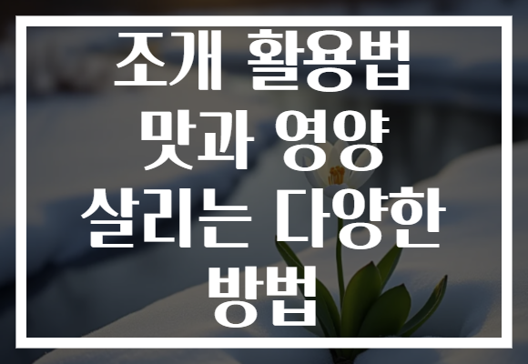 조개 활용법 맛과 영양 살리는 다양한 방법