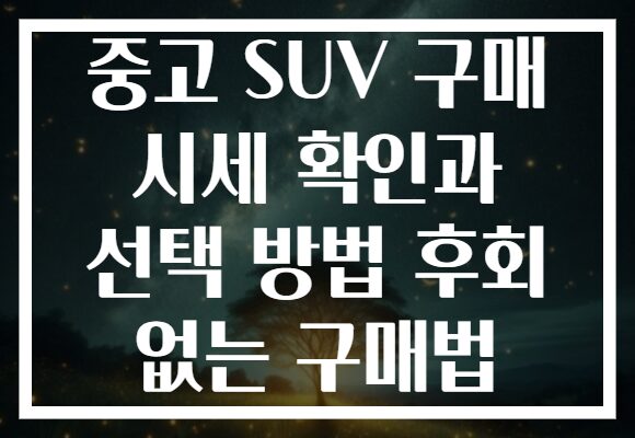 중고 SUV 구매 시세 확인과 선택 방법 후회 없는 구매법 중고 SUV 구매 시세 확인과 선택 방법 후회 없는 구매법