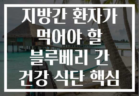 지방간 환자가 먹어야 할 블루베리 간 건강 식단 핵심