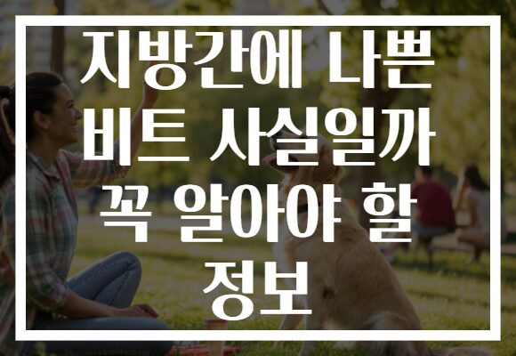 지방간에 나쁜 비트 사실일까 꼭 알아야 할 정보