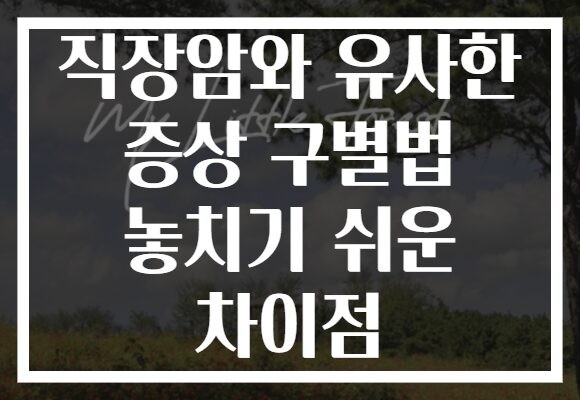 직장암와 유사한 증상 구별법 놓치기 쉬운 차이점