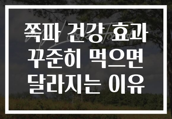 쪽파 건강 효과 꾸준히 먹으면 달라지는 이유 쪽파 건강 효과 꾸준히 먹으면 달라지는 이유