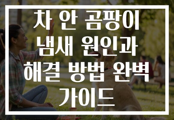 차 안 곰팡이 냄새 원인과 해결 방법 완벽 가이드 차 안 곰팡이 냄새 원인과 해결 방법 완벽 가이드