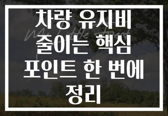 차량 유지비 줄이는 핵심 포인트 한 번에 정리 차량 유지비 줄이는 핵심 포인트 한 번에 정리
