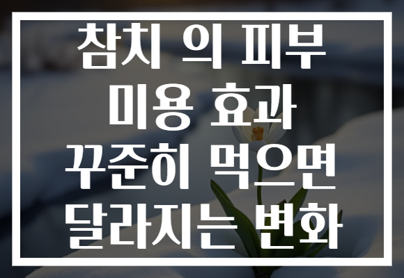 참치 의 피부 미용 효과 꾸준히 먹으면 달라지는 변화
