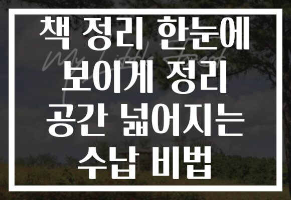 책 정리 한눈에 보이게 정리 공간 넓어지는 수납 비법 책 정리 한눈에 보이게 정리 공간 넓어지는 수납 비법