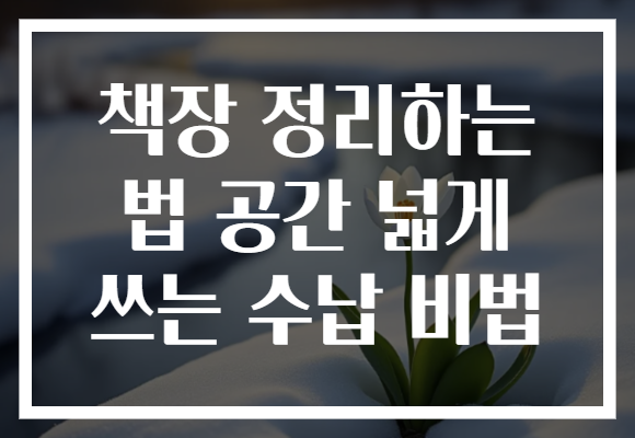 책장 정리하는 법 공간 넓게 쓰는 수납 비법 책장 정리하는 법 공간 넓게 쓰는 수납 비법