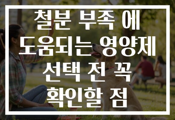 철분 부족 에 도움되는 영양제 선택 전 꼭 확인할 점 철분 부족 에 도움되는 영양제 선택 전 꼭 확인할 점