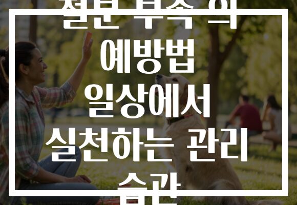 철분 부족 의 예방법 일상에서 실천하는 관리 습관 철분 부족 의 예방법 일상에서 실천하는 관리 습관