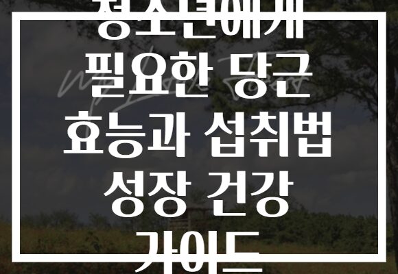 청소년에게 필요한 당근 효능과 섭취법 성장 건강 가이드 청소년에게 필요한 당근 효능과 섭취법 성장 건강 가이드