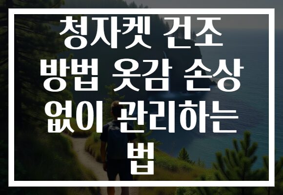 청자켓 건조 방법 옷감 손상 없이 관리하는 법 청자켓 건조 방법 옷감 손상 없이 관리하는 법