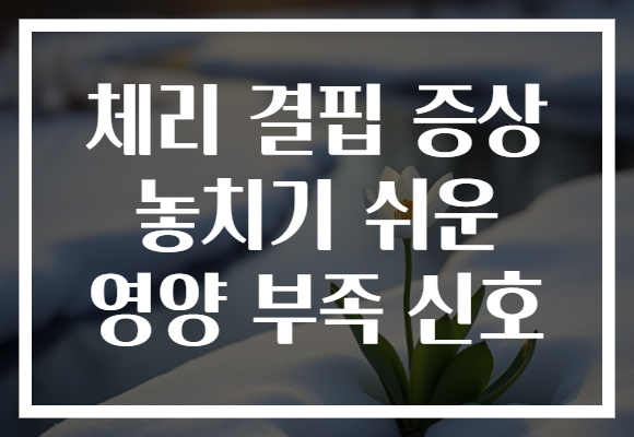 체리 결핍 증상 놓치기 쉬운 영양 부족 신호 체리 결핍 증상 놓치기 쉬운 영양 부족 신호