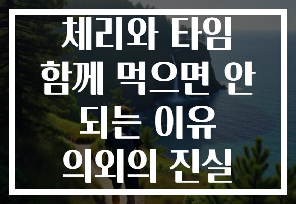 체리와 타임 함께 먹으면 안 되는 이유 의외의 진실