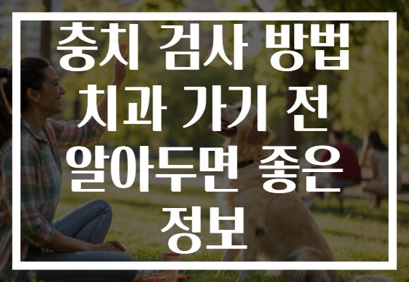 충치 검사 방법 치과 가기 전 알아두면 좋은 정보 충치 검사 방법 치과 가기 전 알아두면 좋은 정보