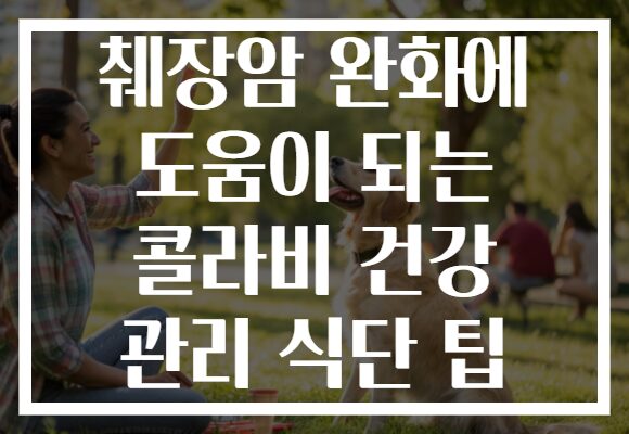 췌장암 완화에 도움이 되는 콜라비 건강 관리 식단 팁
