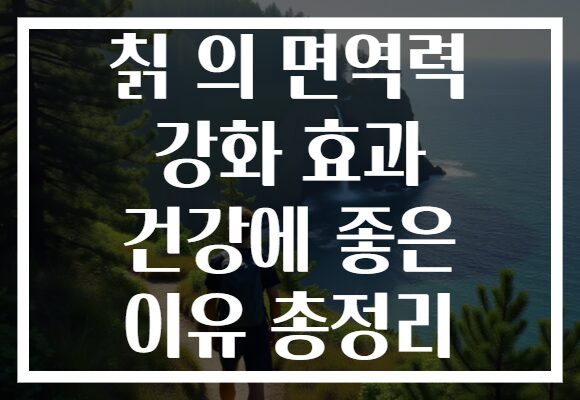 칡 의 면역력 강화 효과 건강에 좋은 이유 총정리