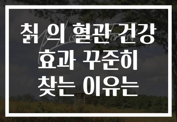 칡 의 혈관 건강 효과 꾸준히 찾는 이유는 칡 의 혈관 건강 효과 꾸준히 찾는 이유는