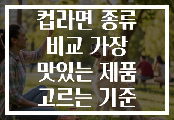 컵라면 종류 비교 가장 맛있는 제품 고르는 기준 컵라면 종류 비교 가장 맛있는 제품 고르는 기준