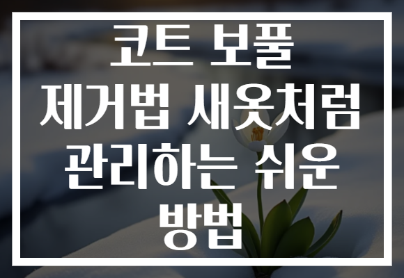 코트 보풀 제거법 새옷처럼 관리하는 쉬운 방법