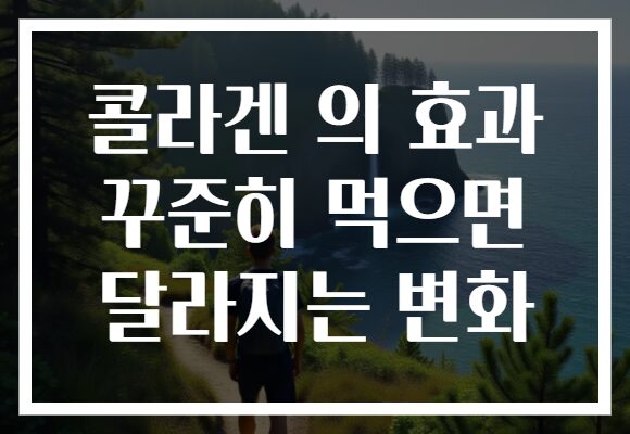 콜라겐 의 효과 꾸준히 먹으면 달라지는 변화