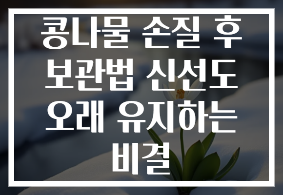 콩나물 손질 후 보관법 신선도 오래 유지하는 비결