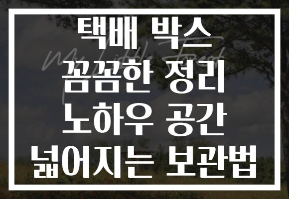 택배 박스 꼼꼼한 정리 노하우 공간 넓어지는 보관법