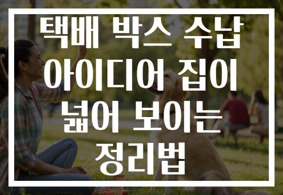 택배 박스 수납 아이디어 집이 넓어 보이는 정리법