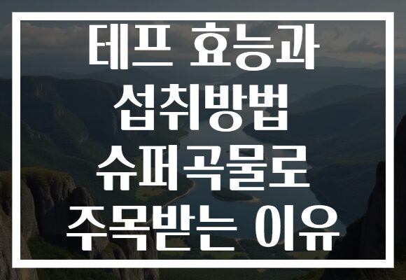 테프 효능과 섭취방법 슈퍼곡물로 주목받는 이유 테프 효능과 섭취방법 슈퍼곡물로 주목받는 이유