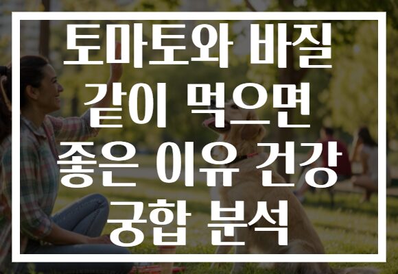토마토와 바질 같이 먹으면 좋은 이유 건강 궁합 분석 토마토와 바질 같이 먹으면 좋은 이유 건강 궁합 분석