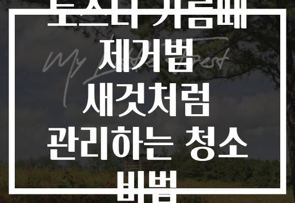 토스터 기름때 제거법 새것처럼 관리하는 청소 비법