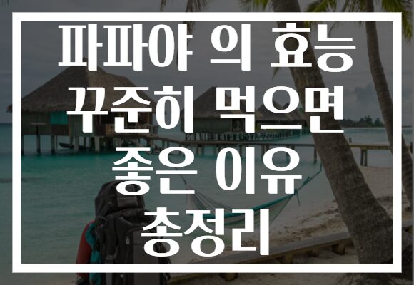 파파야 의 효능 꾸준히 먹으면 좋은 이유 총정리 파파야 의 효능 꾸준히 먹으면 좋은 이유 총정리