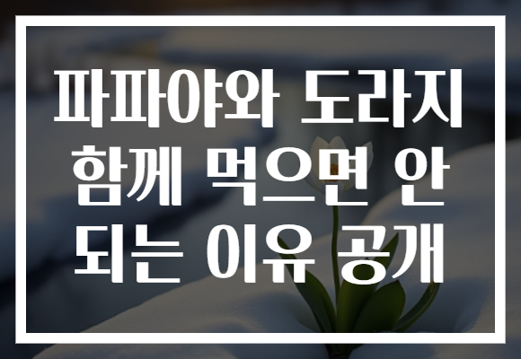 파파야와 도라지 함께 먹으면 안 되는 이유 공개