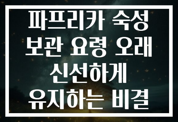 파프리카 숙성 보관 요령 오래 신선하게 유지하는 비결 파프리카 숙성 보관 요령 오래 신선하게 유지하는 비결