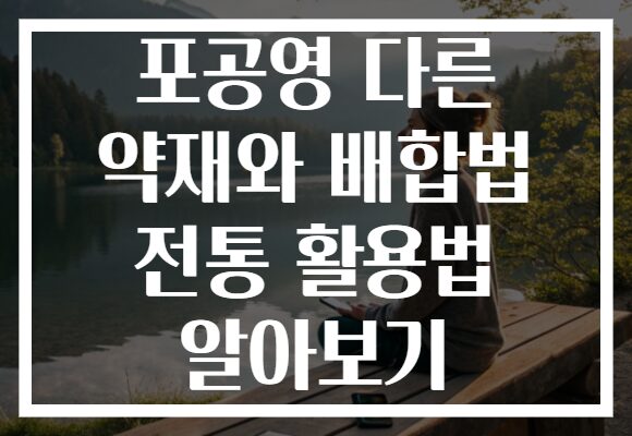 포공영 다른 약재와 배합법 전통 활용법 알아보기 포공영 다른 약재와 배합법 전통 활용법 알아보기
