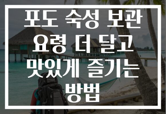 포도 숙성 보관 요령 더 달고 맛있게 즐기는 방법