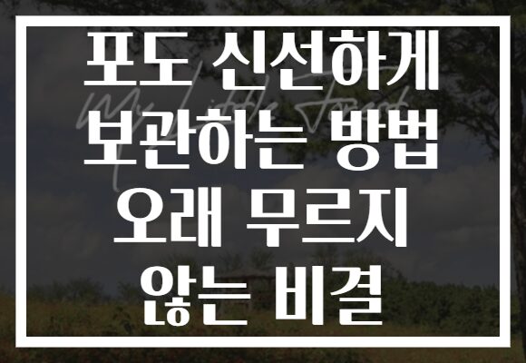 포도 신선하게 보관하는 방법 오래 무르지 않는 비결 포도 신선하게 보관하는 방법 오래 무르지 않는 비결