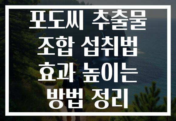 포도씨 추출물 조합 섭취법 효과 높이는 방법 정리