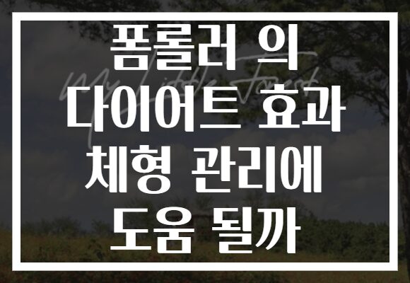 폼롤러 의 다이어트 효과 체형 관리에 도움 될까 폼롤러 의 다이어트 효과 체형 관리에 도움 될까