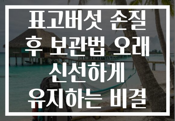 표고버섯 손질 후 보관법 오래 신선하게 유지하는 비결 표고버섯 손질 후 보관법 오래 신선하게 유지하는 비결