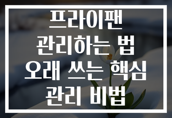 프라이팬 관리하는 법 오래 쓰는 핵심 관리 비법