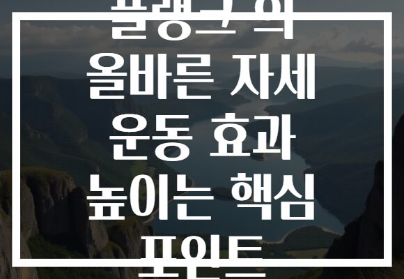 플랭크 의 올바른 자세 운동 효과 높이는 핵심 포인트 플랭크 의 올바른 자세 운동 효과 높이는 핵심 포인트
