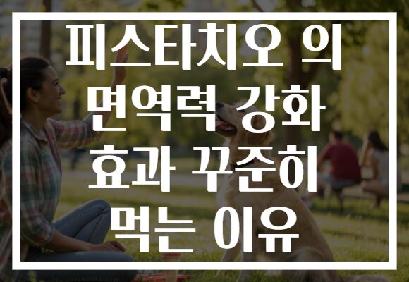 피스타치오 의 면역력 강화 효과 꾸준히 먹는 이유